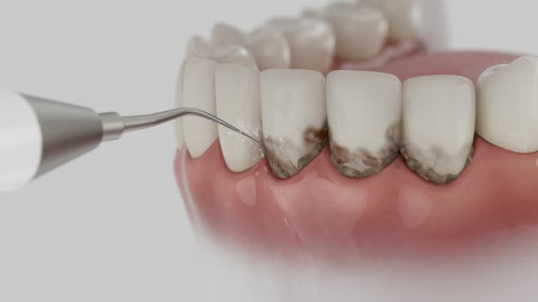 Reliable Root Canal Treatment contractor in Penobscot County County, ME by Dentist Open Now